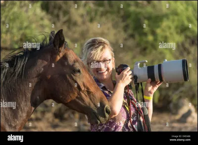 À partir de quand le cheval a-t-il été domestiqué ?