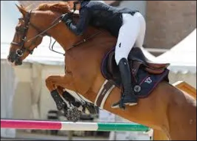 Quels sont les différents sports concernant l’équitation ?