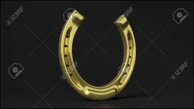 Comment appelle-t-on la personne qui s’occupe des fers des chevaux ?