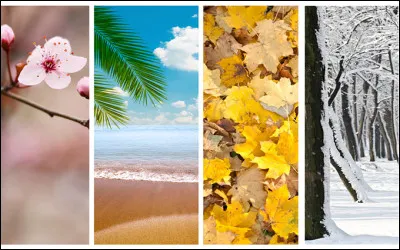 Quelle est ta saison préférée ?