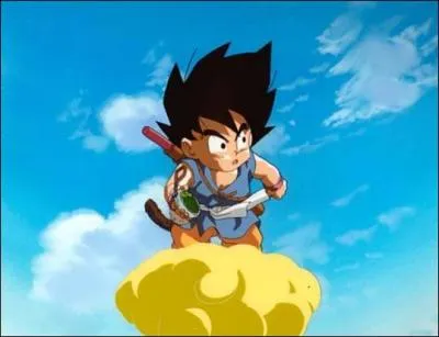 Qui a offert  Sangoku son nuage magique au dbut du manga ?