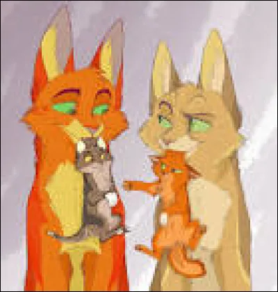 Comment sappelle les petits de Tempête de Sable et Étoile de Feu ?