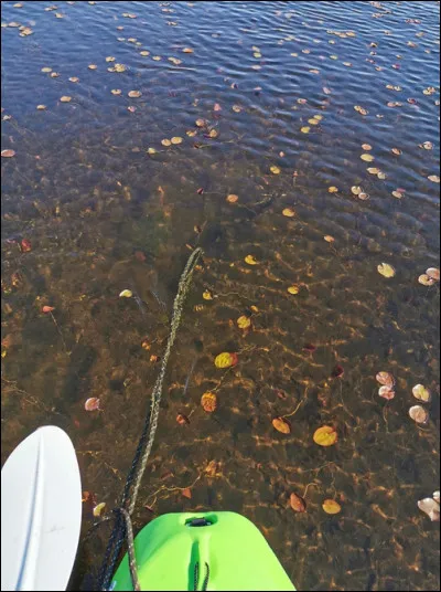 Que voyez-vous sur cette image ?