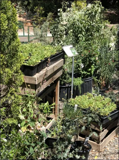 Que voyez-vous sur cette image ?