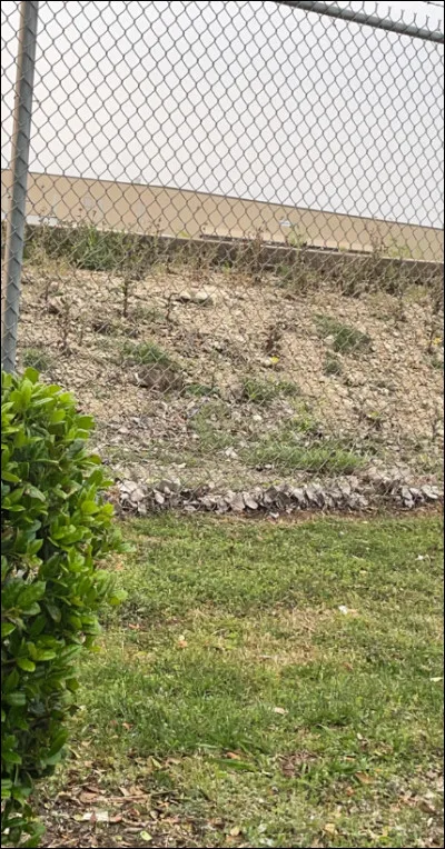 Qu'est-ce qui se cache sur cette photo ?