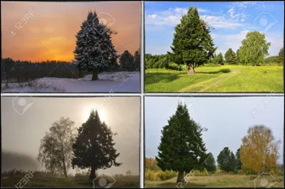 Quelle saison pr&eacute;f&egrave;res-tu ?