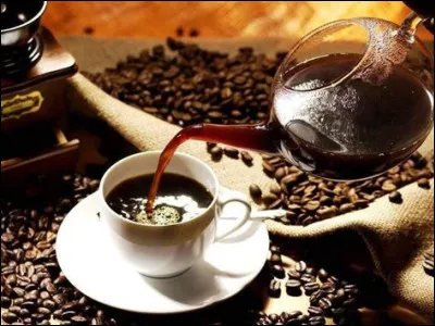D'après ce que lon dit, le meilleur café au monde se trouve...