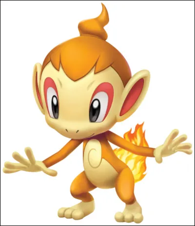 Quel est ce Pokémon ?