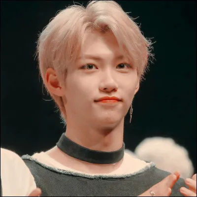 Quel est le nom coréen de Felix ?