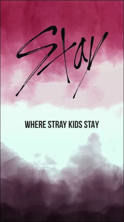 Comment est appelé un fan de ce groupe ?