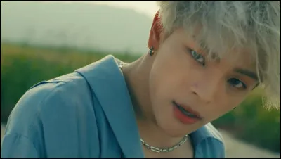 Qui a quitté Stray Kids ? (Je parle d'un départ définitif)