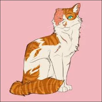 Le dernier nom de ce chat est :