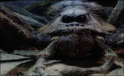 En quelle forme sont ses toiles ?