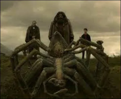 De quelle Acromentule parle-t-on "souvent" dans Harry Potter ?