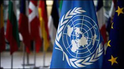 Combien de membres y a-t-il à lassemblée générale de lONU ?