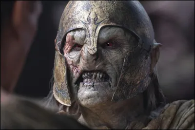 Que pense-tu des orques ?