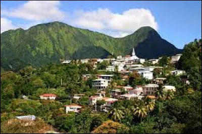 Culture : quels combats sont encore fréquents en Martinique ?