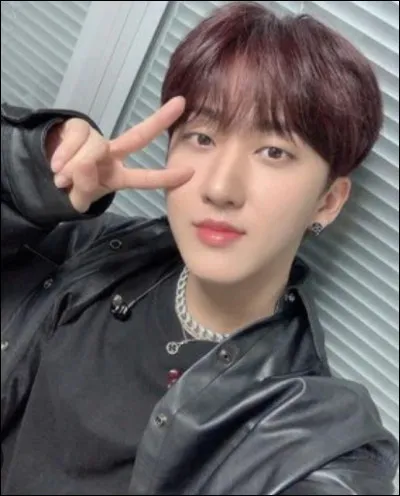 Quel est son plat préféré ?