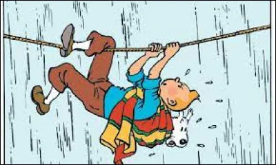 Littérature : Lequel de ces pays Tintin n'a-t-il pas visité ?