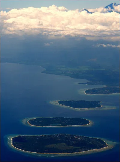 Quel nom porte la personne qui porte le panier ou l'épuisette du pêcheur ?