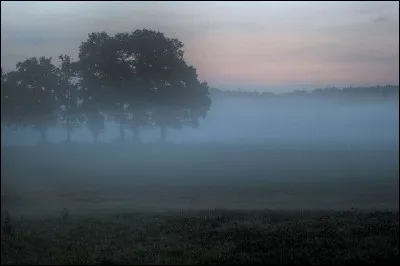 Et ce chat du Clan du Vent ?