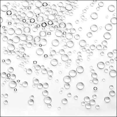 Et pour finir, qui est ce chat ?