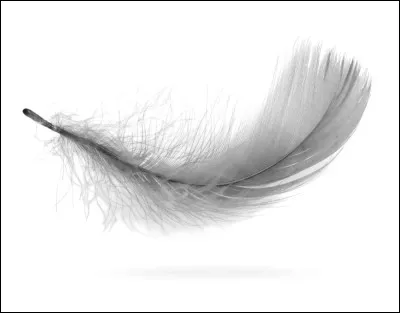 Et lui, qui est-ce ?