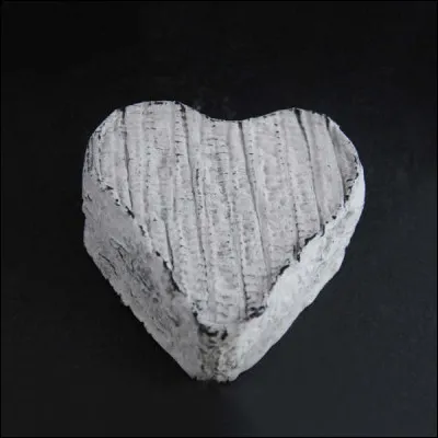 Et cette chatte, qui est-ce ?