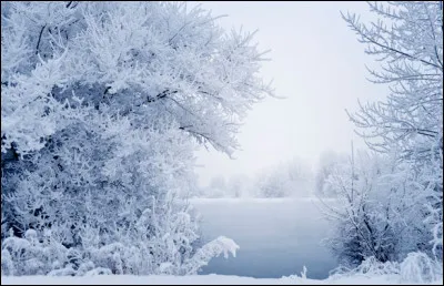 Et cette chatte, tu la connais ?