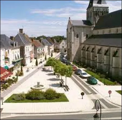 Cette petite ville de 4400 habitants du département du Loir-et-Cher, située près de Romorantin, c'est Selles sur ...