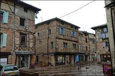 Cette petite ville des Dombes, située dans l'ouest du département de l'Ain et peuplée de 4800 habitants, c'est Châtillon sur ...