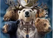 Test Quel est ton animal totem (classique) ?