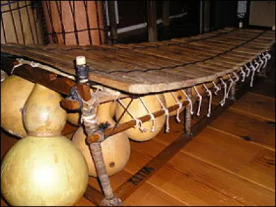 Comment s'appelle l'instrument de percussion idiophone mélodique originaire du Mali ?