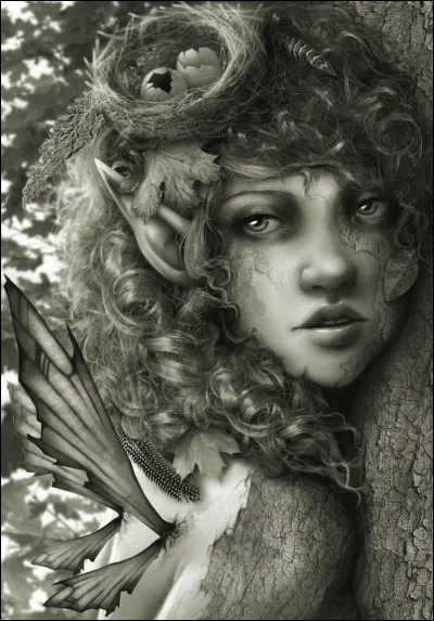 Tu te transformes finalement en chêne. Autour de toi, la biodiversité réapparait. Bientôt, la forêt reprend vie.
Tu peux désormais te retransformer. Le fais-tu ?