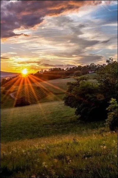 Quel acteur est à l'affiche du film "Le Jour se lève" ?