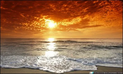 Quel jour a été appelé "Le jour le plus long" ?