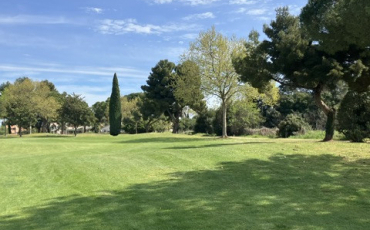 Quiz Golf