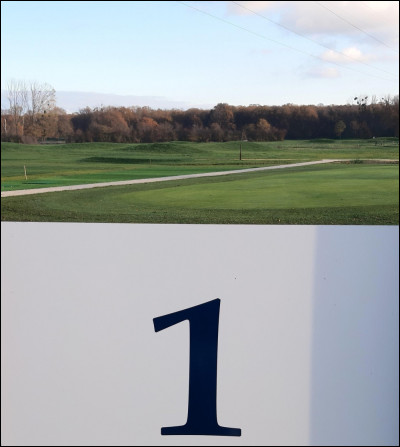 Pour finir comment s'appelle le coup lorsque une balle rentre en 1 dans le trou ?