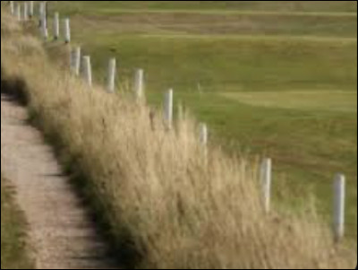 Que signifie les piquets blancs sur le parcours ?