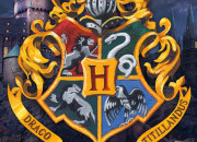 Test Dans quelle maison irais-tu ? - ''Harry Potter''