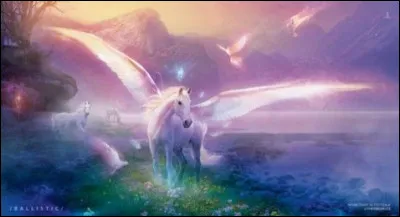 Dans quelle ville est née Sophie ?