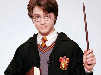 De quoi la baguette d'Harry est-elle faite ?