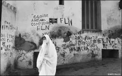 Que signifie le mouvement FLN pro Algérie créé en 1954 ?