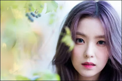 Quelle Blackpink est amie avec Irene de "Red Velvet" ?