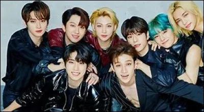 Quelle est la date des débuts de Stray Kids ?