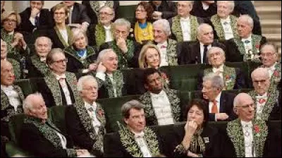 Quel est le surnom des académiciens ?