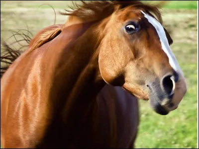 Comment soigner la maladie du Harper ?