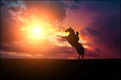 Qui a écrit "La liberté n'est rien quand tout le monde est libre." ?