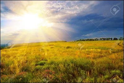 Qui a écrit "Quand on sindigne,
il convient de se demander si lon est digne." ?