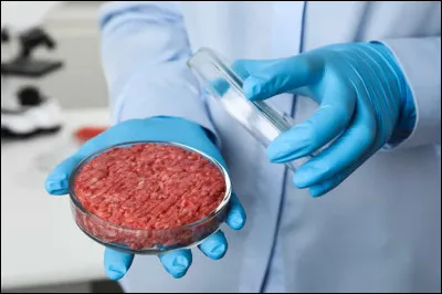 La viande synthétique coûte environ 100 euros le kilogramme. Quand a-t-elle été inventée ?